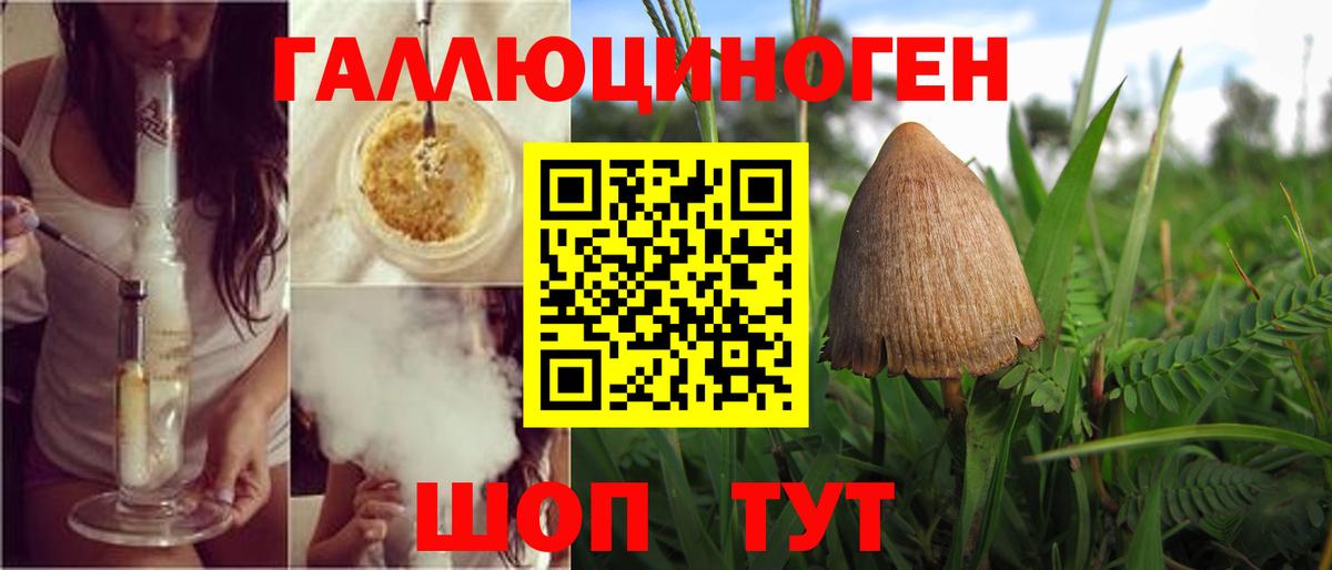 Баксан  Псилоцибиновые грибы прущие грибы  Вход с VPN 